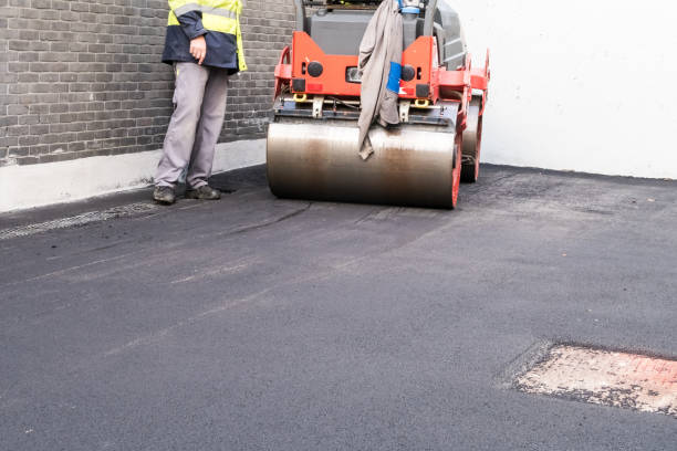 Best Decorative Concrete Driveways  in Squirrel Mountain Valley, CA